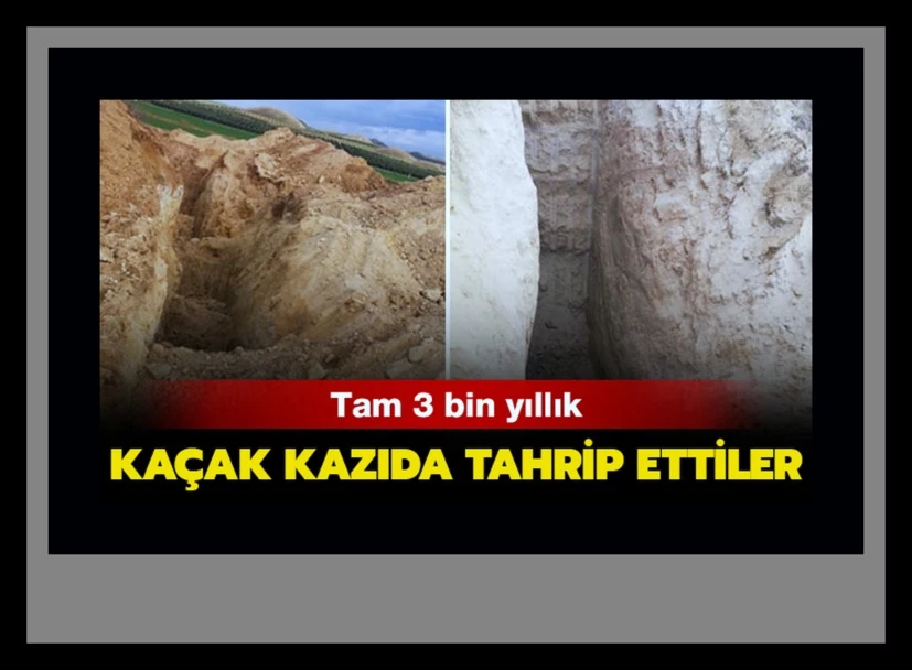 Ahmetli’de kaçak kazıda 3 bin yıllık Tümülüsler tahrip edildi