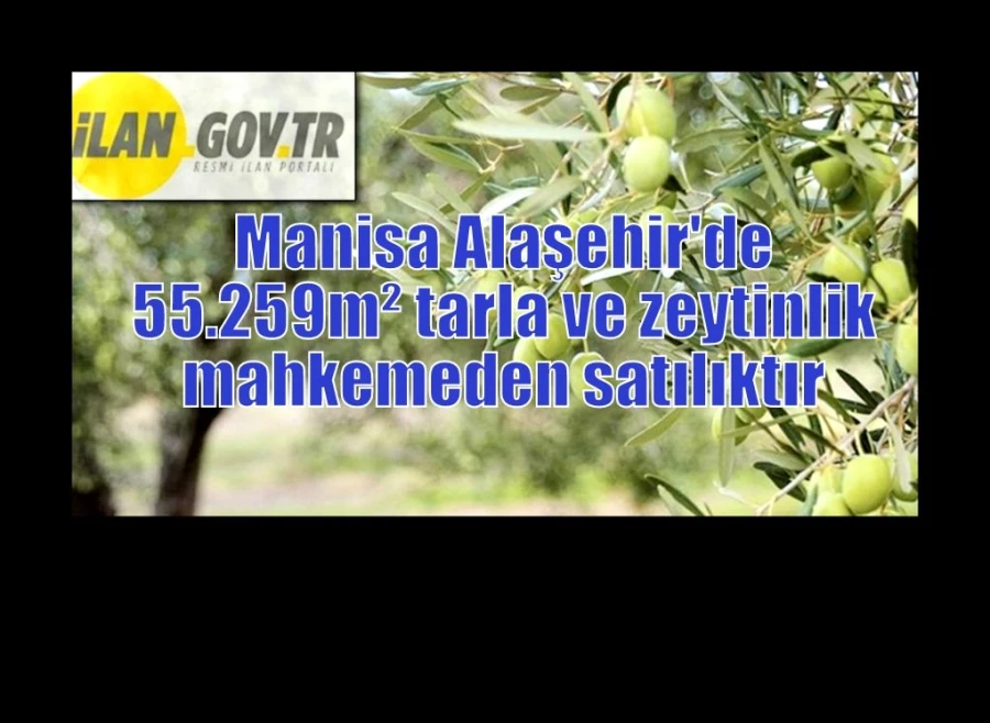 Manisa Alaşehir