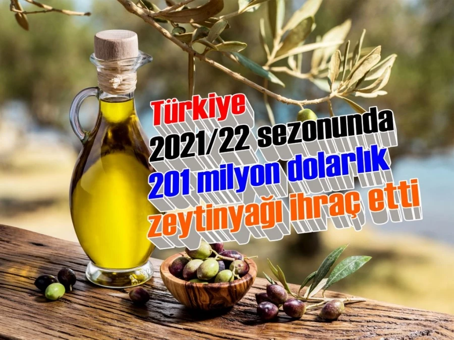Türkiye, 2021/22 sezonunda 201 milyon dolarlık zeytinyağı ihraç etti