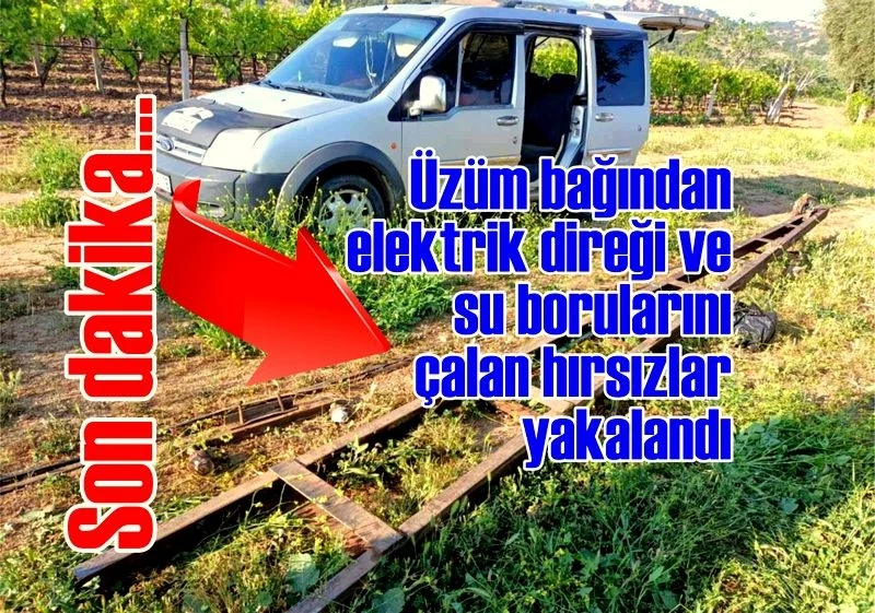 Üzüm bağından elektrik direği ve su borularını çalan hırsızlar yakalandı