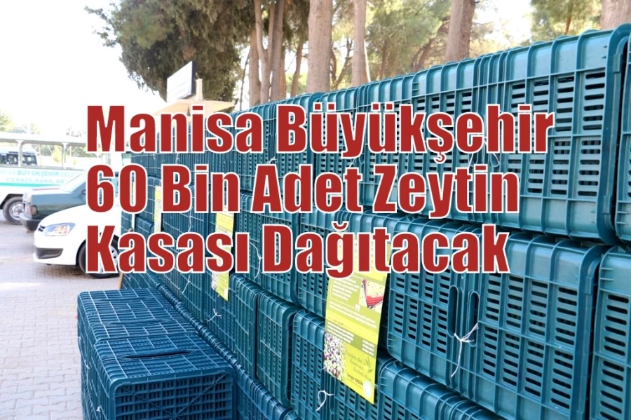 Manisa Büyükşehir, 60 Bin Adet Zeytin Kasası Dağıtacak