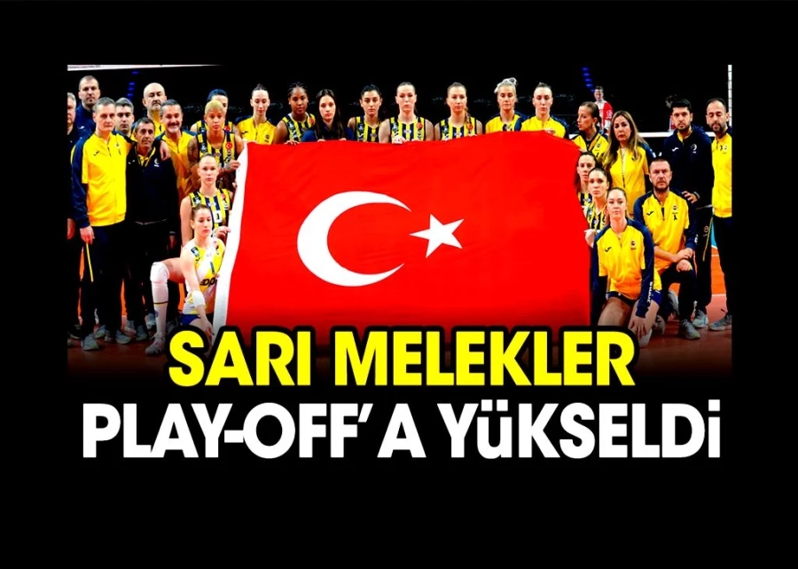 Fenerbahçe Şampiyonlar Ligi