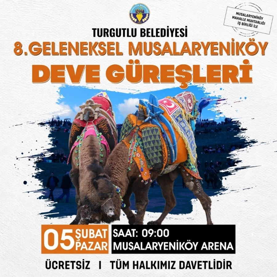 Turgutlu Belediyesi Deve Güreşlerine 8. Kez Ev Sahipliği Yapacak