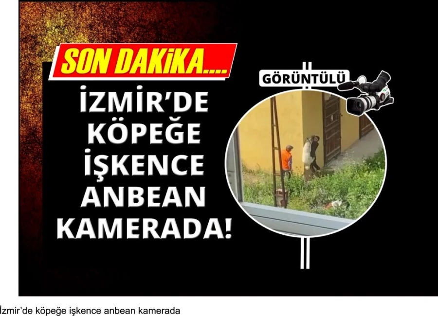 İzmir’de köpeğe işkence anbean kamerada