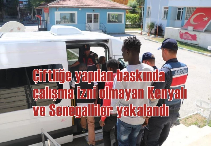 Çiftliğe yapılan baskında çalışma izni olmayan Kenyalı ve Senegalliler yakalandı
