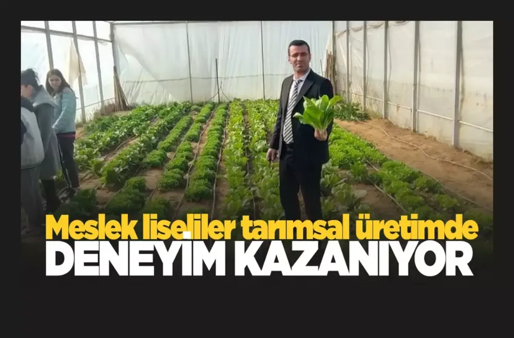 Meslek liseliler tarımsal üretimde deneyim kazanıyor